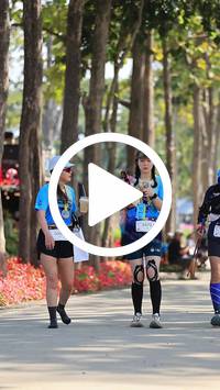 BIB:  <button type="button" onclick="openModal(27616105)" class="btn btn-primary btn-sm float-right" data-toggle="modal" data-target=".modal-high-quality">
                <i class="fa fa-download"></i> Download
                </button>